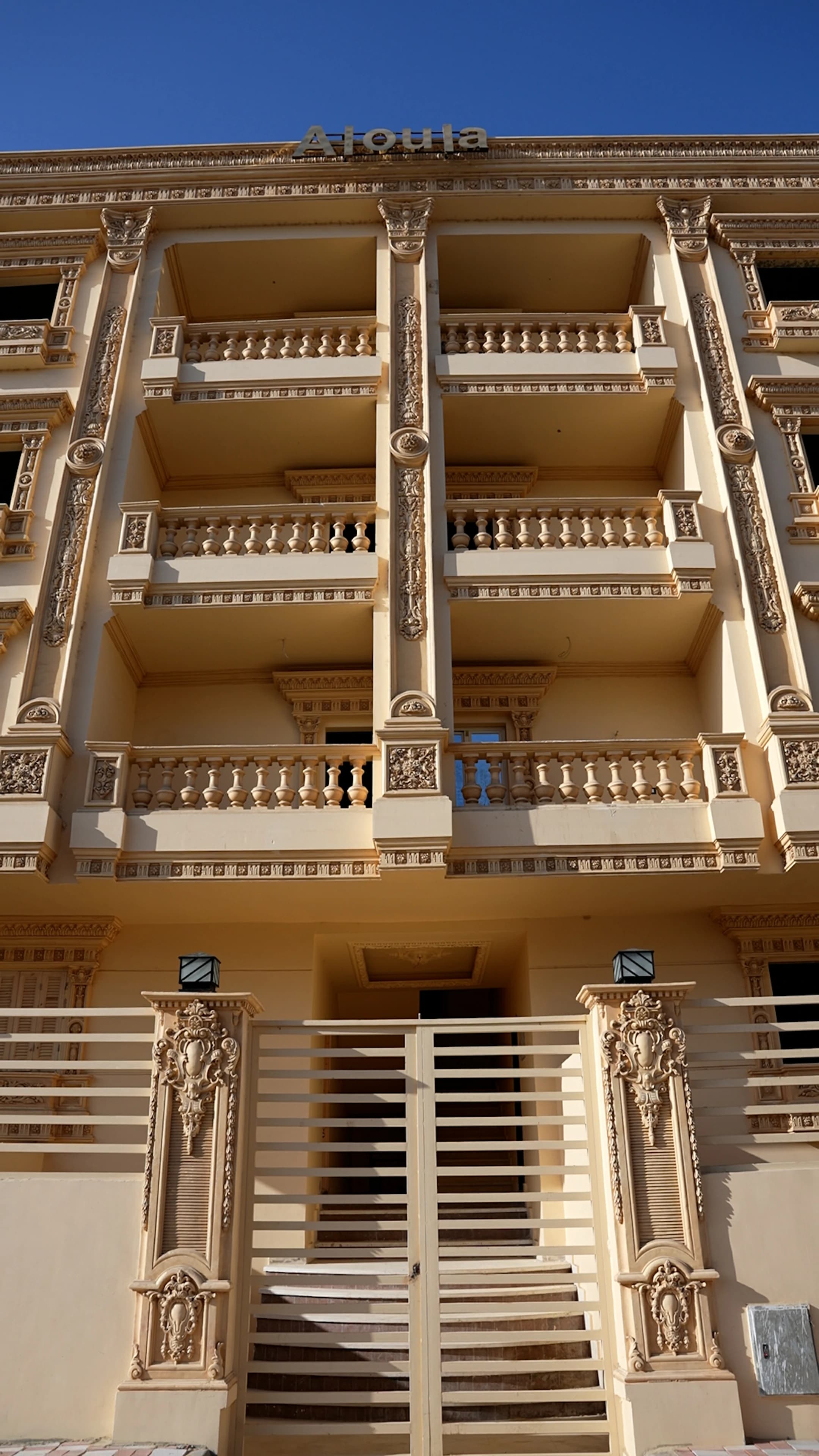 صورة المشروع